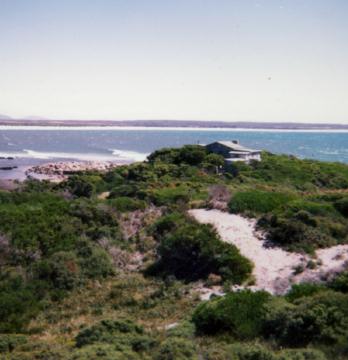 1976_musselroe_bay_003