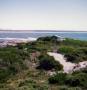1976_musselroe_bay_003