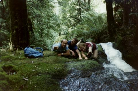 1984_cuckoo_falls_bushwalk