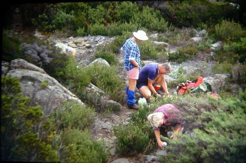 1984_bootsnall_cathedral_mt