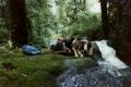 1984_cuckoo_falls_bushwalk
