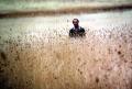 1983_peter_grass