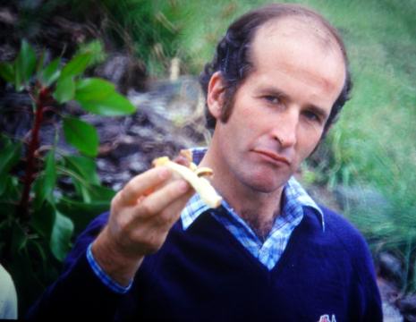 1986_fusion_ross