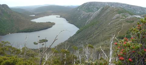 2005_cradle_little_horn_panorama