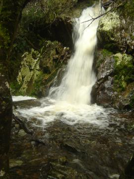 2005_crater_falls_bushwalk_004