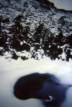 1983_bootsnall_cradle_bushwalk_004