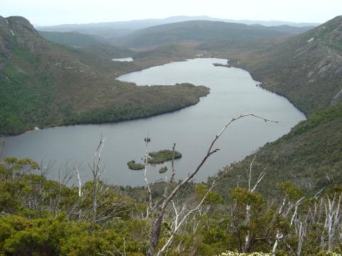 2005_cradle_lake_dove_bushwalk_006