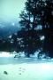 2005_crater_falls_003