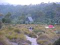 2006_cradle_bushwalk_dove_lake_027