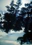 2007_cradle_knyvett_falls