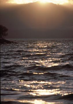 1984_freycinet_cooks_beach_sunset_5
