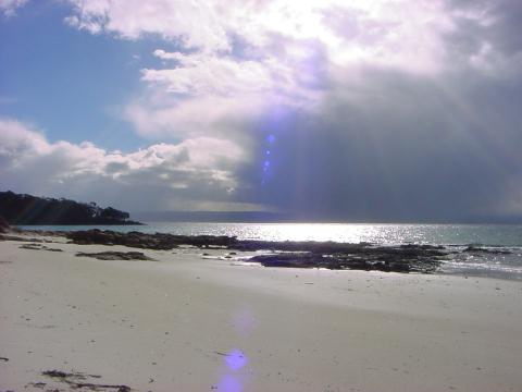 2000_freycinet_bushwalk_001