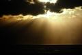 1984_freycinet_bushwalk_004